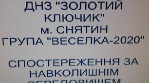 " Спостереження за тюльпаном" Презентація.