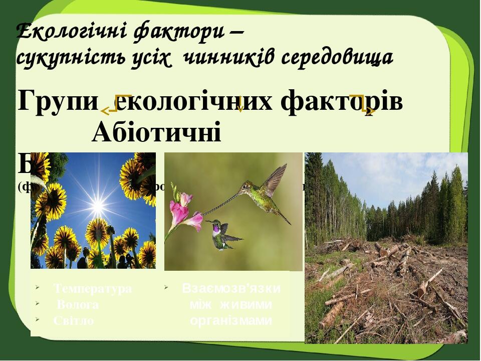 Екологічні фактори – сукупність усіх чинників середовища Групи екологічних факторів Абіотичні Біотичні Антропогенні (фактори неживої природи) (факт...