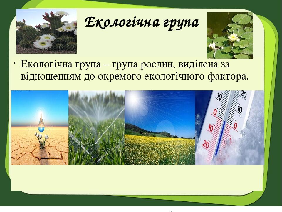 Екологічна група Екологічна група – група рослин, виділена за відношенням до окремого екологічного фактора. Найважливішими екологічні фактори для р...