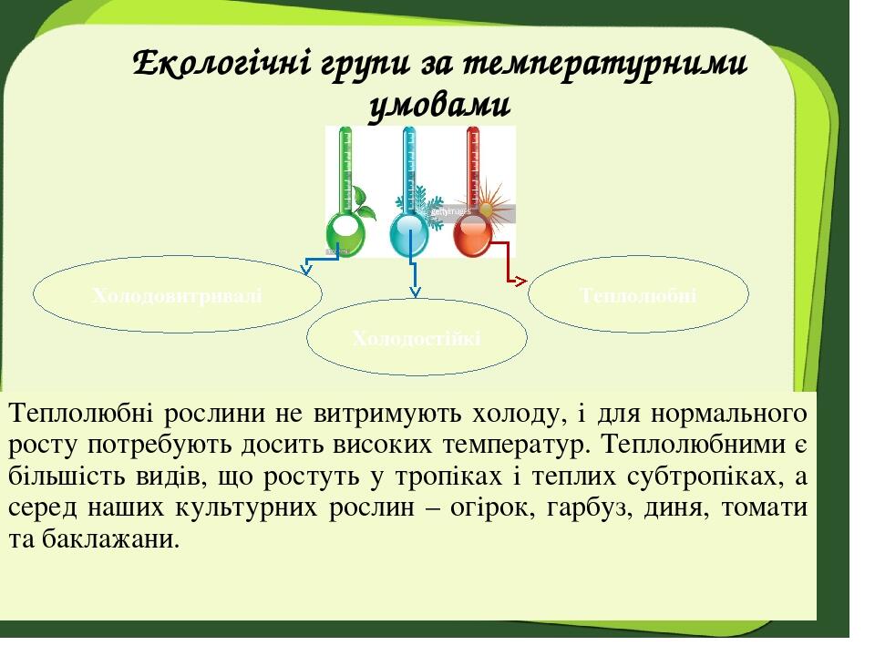 Екологічні групи за температурними умовами Теплолюбні рослини не витримують холоду, і для нормального росту потребують досить високих температур. Т...