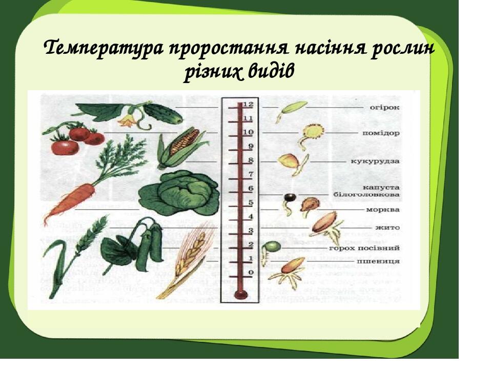 Температура проростання насіння рослин різних видів