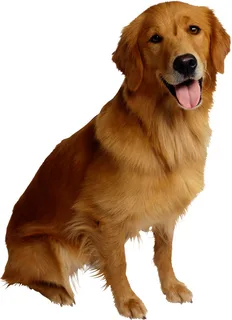0200gr30-0497.png