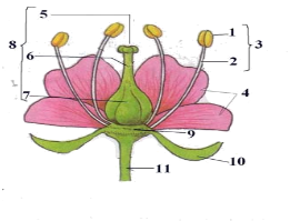 0200guu2-b3d9-273x201.png