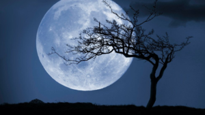 0200guyc-8348-300x169.png