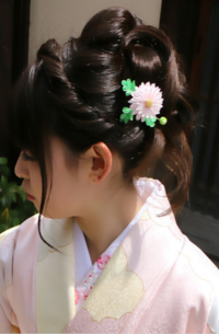 0200gvpy-d106-200x305.png