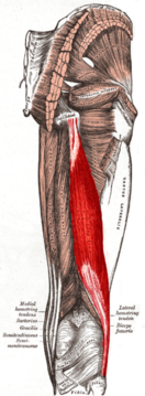 0200gvwm-1847-132x359.png