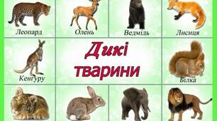 Дикі тварини. Дошкільнята.