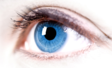 0200gwes-1031-225x137.png