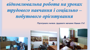 Вебінар 2019.Індивідуальна і корекційно – відновлювальна робота на уроках трудового навчання і соціально – побутового орієнтування