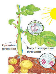 0200gxwq-083e-157x206.jpg