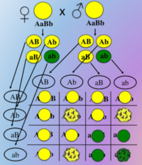 0200gzh1-476e-200x233.png