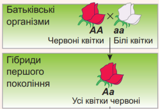 0200gzlb-914a-237x162.png