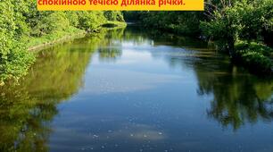 Дмитро Павличко "Плесо" (перевірка прочитаного)