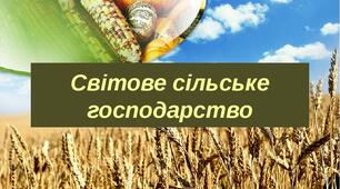 Сільське господарство світу