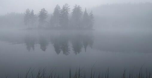 0200h2il-5444.jpg