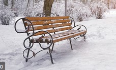 0200h2ns-1b96.jpg