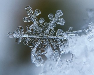 0200h2nu-21b5.jpg