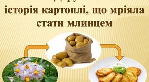 Деруни:  історія картоплі, що мріяла стати млинцем