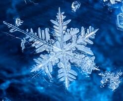 0200h2o4-73c1.jpg