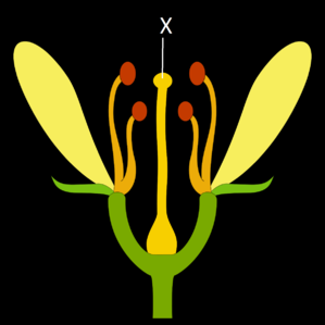 0200h4ys-4ca3-299x299.png