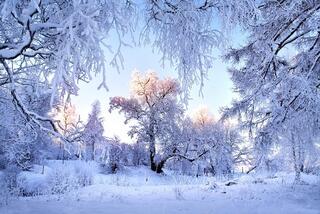 0200h6c4-e66e-320x214.jpg