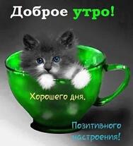 0200h7f2-6516-188x207.jpg