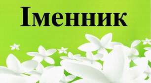 Вивчаємо іменник