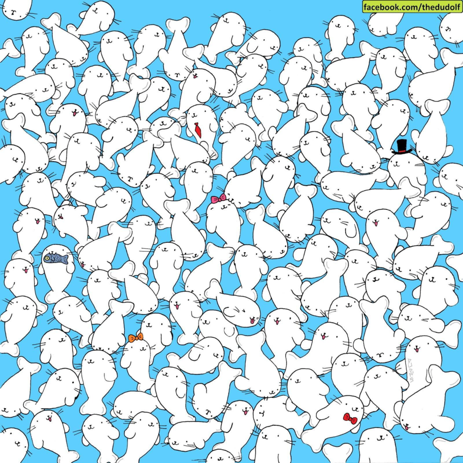 0200hdhb-b887-940x940.png