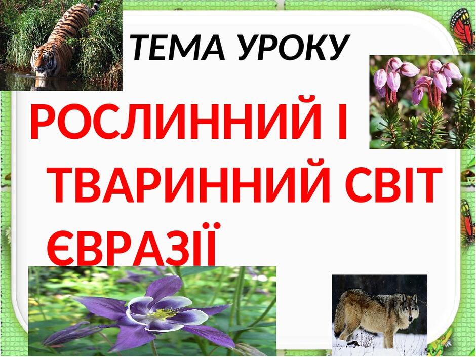 0200hetp-4dc4-940x705.jpg