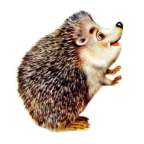 0200hkzx-ff94.png