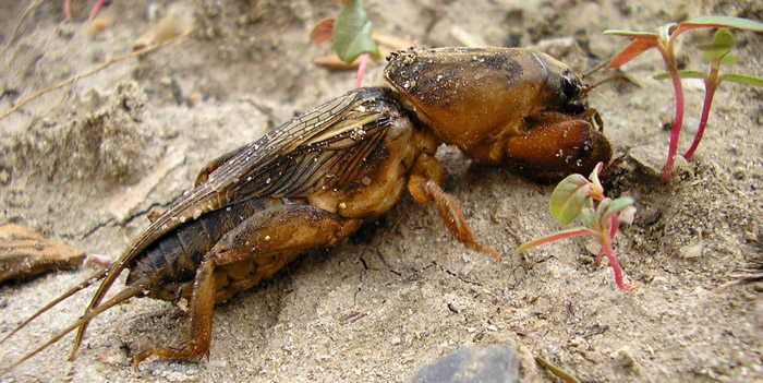 0200hlw6-d364.jpg