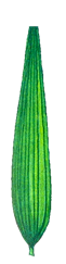 0200hm8x-1f3d-69x275.png