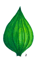 0200hm93-1671.png