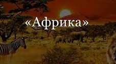 (Копія) Рослинний і тваринний світ Африки