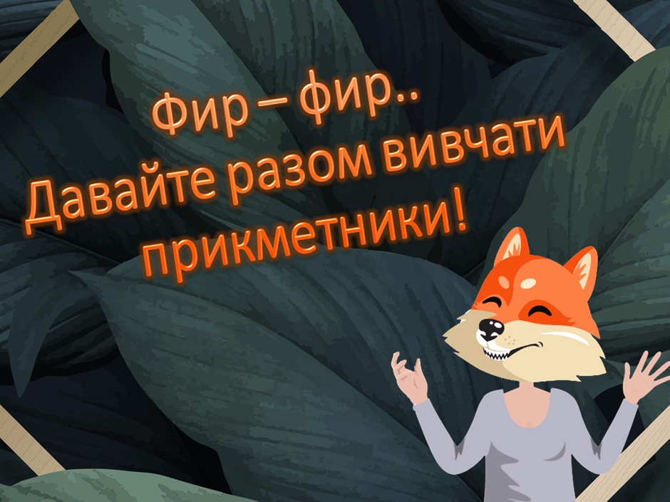 0200hta2-e45a-940x705.png