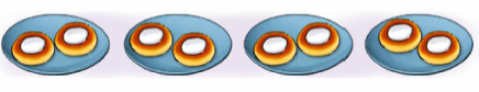 0200hv31-b901.png
