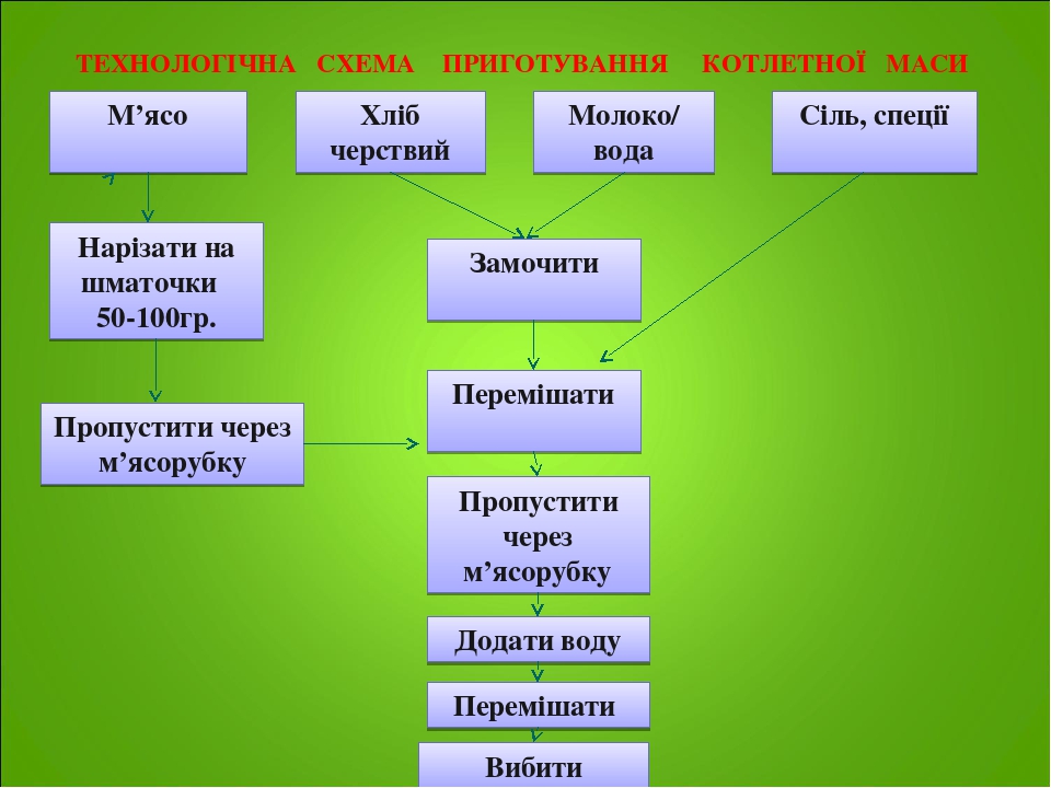 Технологическая схема солянки домашней