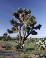 0200hxeg-7d68-159x199.png