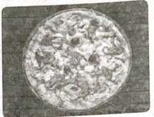 0200hyqf-3480-219x166.png