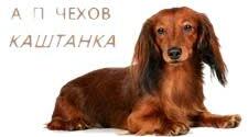 А.П.Чехов. Каштанка. Тест.