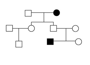 0200hyz3-cdc2.png