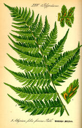 0200hzgy-958e-168x262.jpg