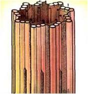 0200i027-abdd.jpg