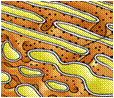 0200i0bp-2fbe.gif