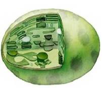 0200i0d9-81b8.jpg
