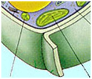 0200i0no-bdda-235x203.png