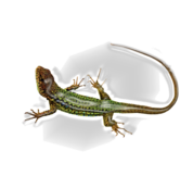 0200i3er-6d02-178x174.png