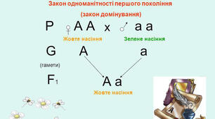 самостійна робота