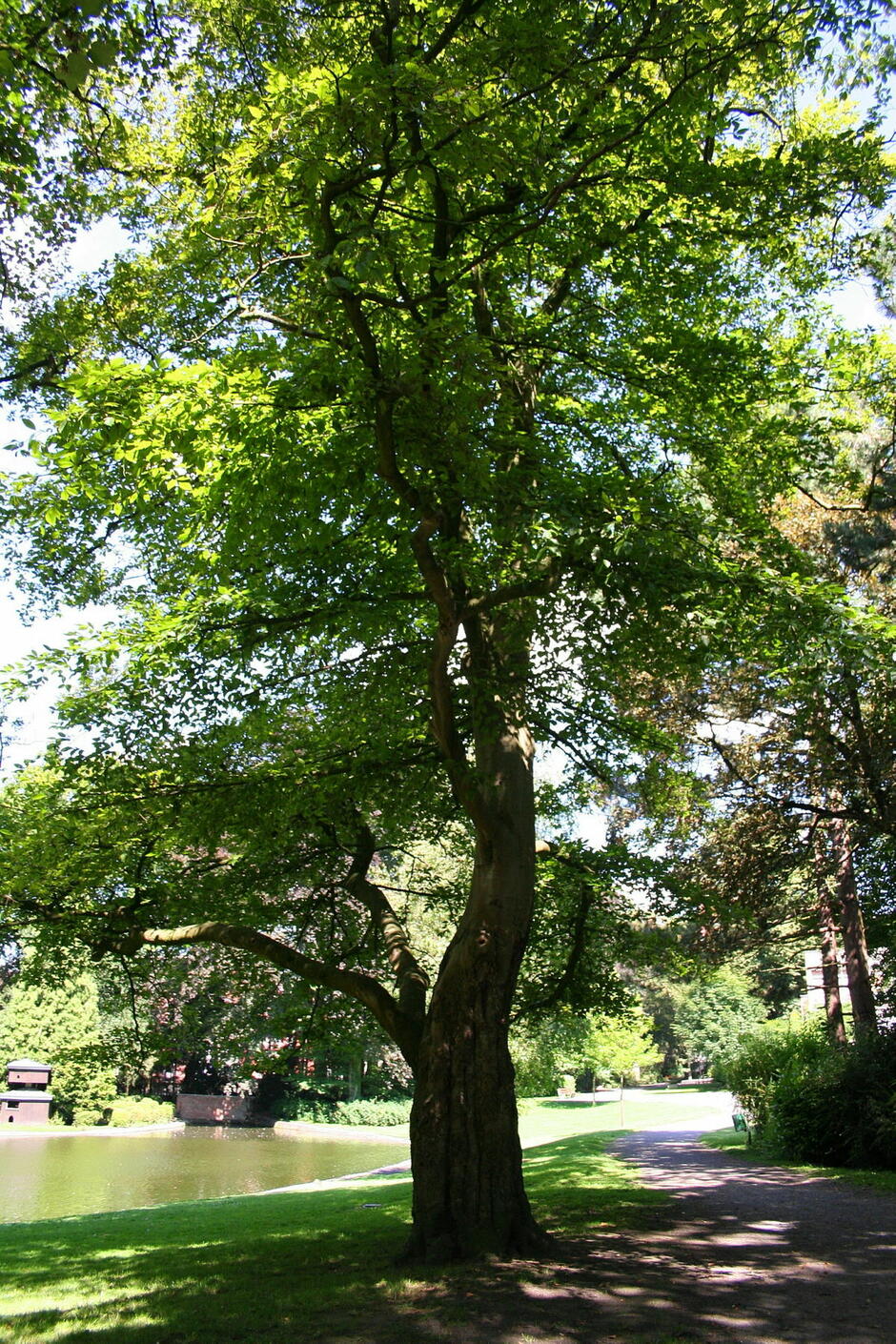 0200i63r-6882-940x1410.jpg