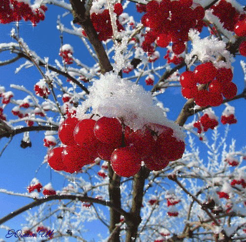 0200i6d9-7e04-500x491.gif